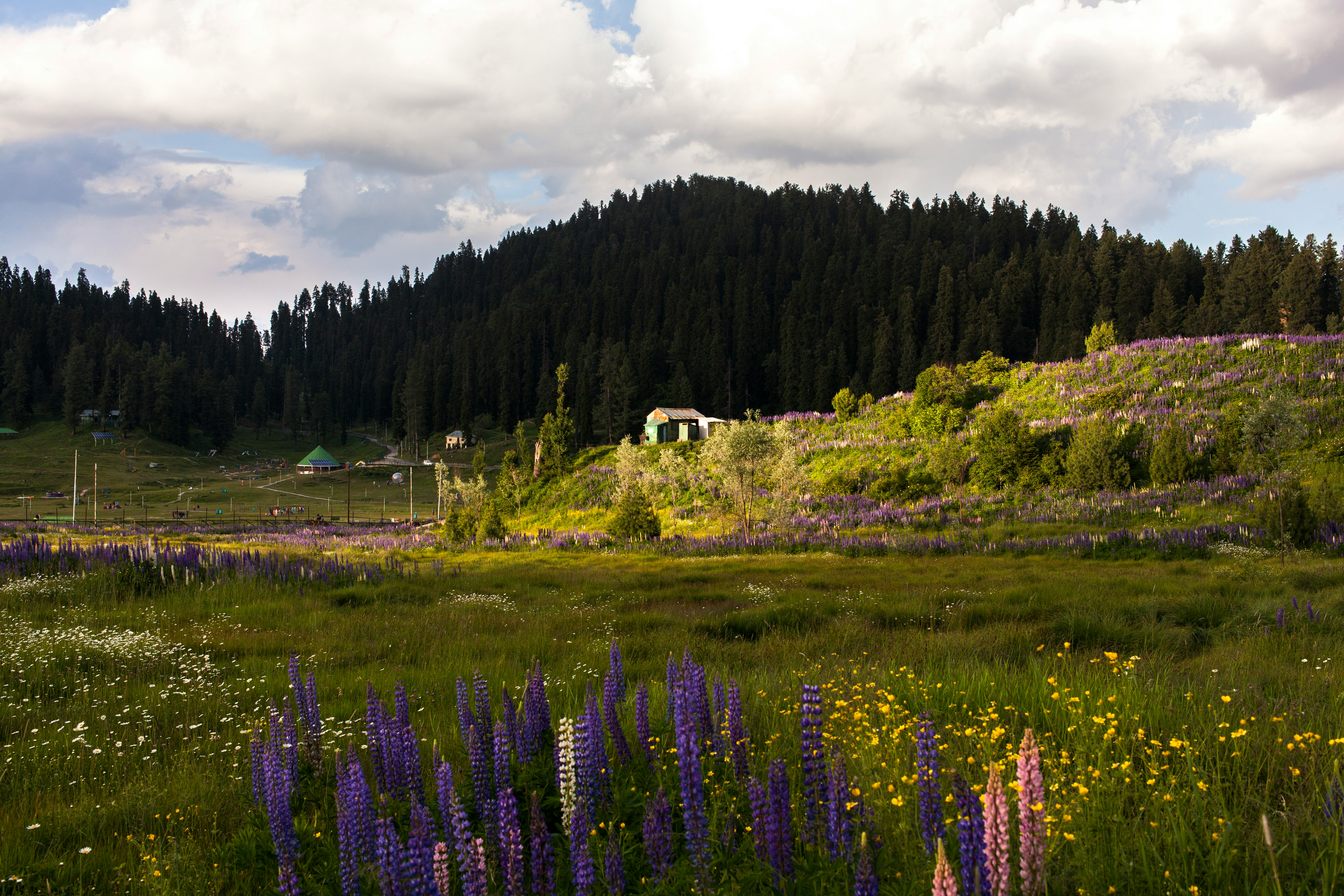 Gulmarg ski slopes and meadows with mountains