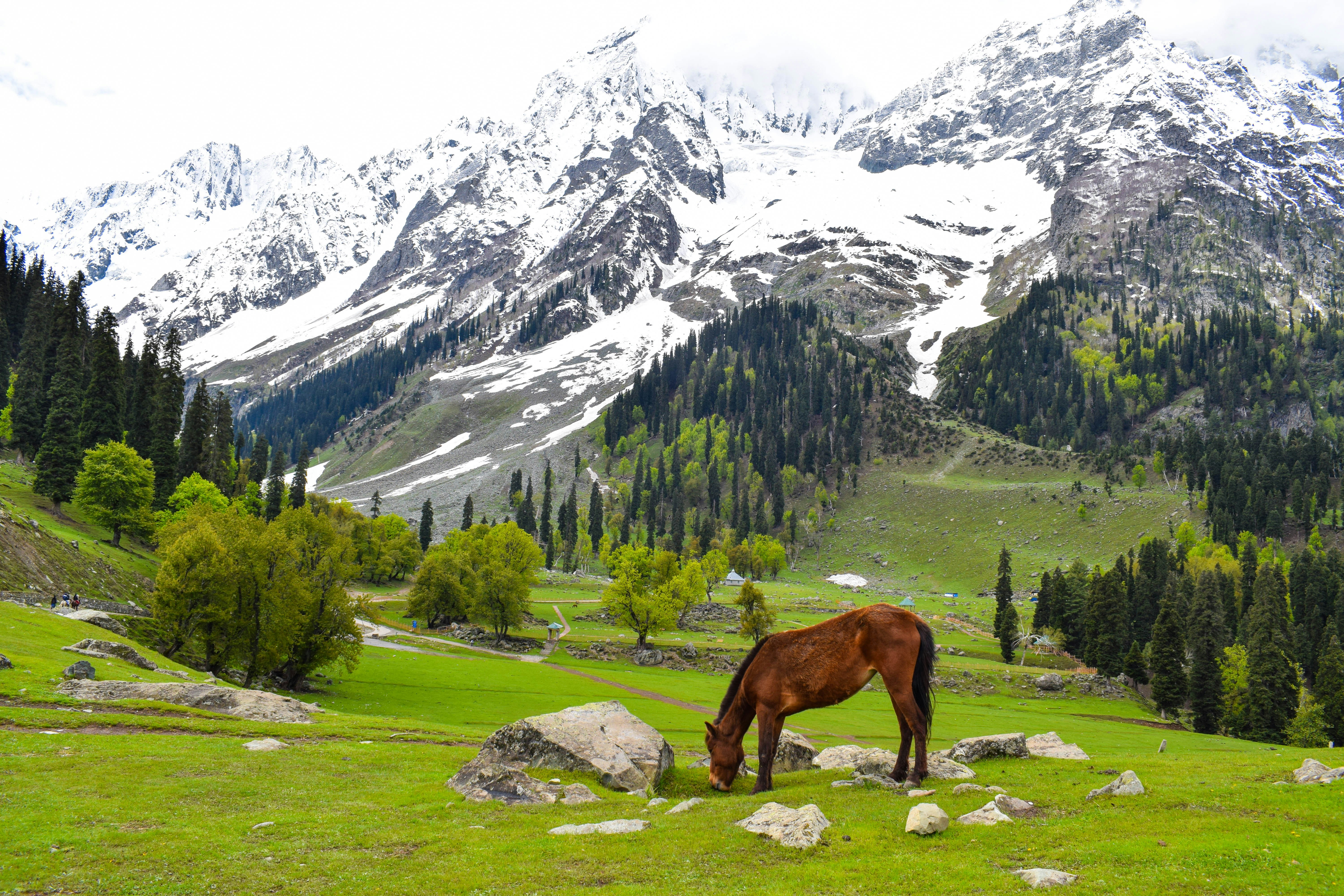 Pahalgam valley with mountains and river